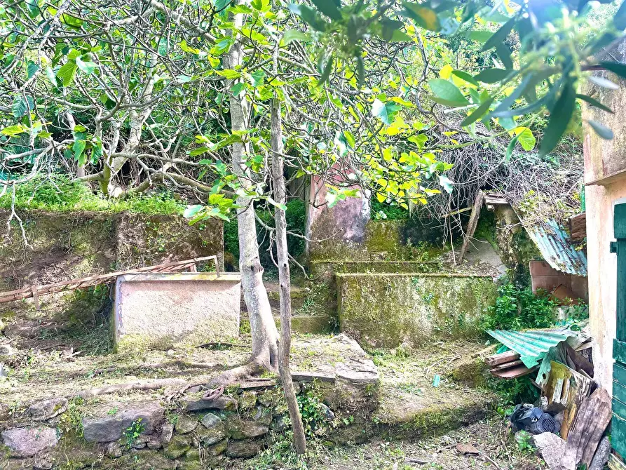 Immagine 29 di Terreno residenziale in vendita  a Marciana