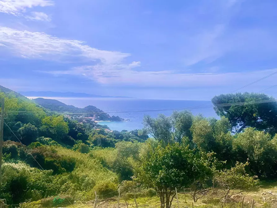 Immagine 30 di Terreno residenziale in vendita  a Marciana