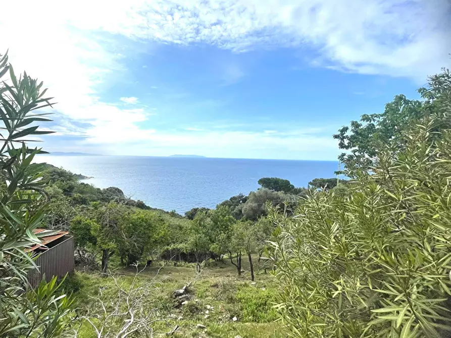 Immagine 31 di Terreno residenziale in vendita  a Marciana