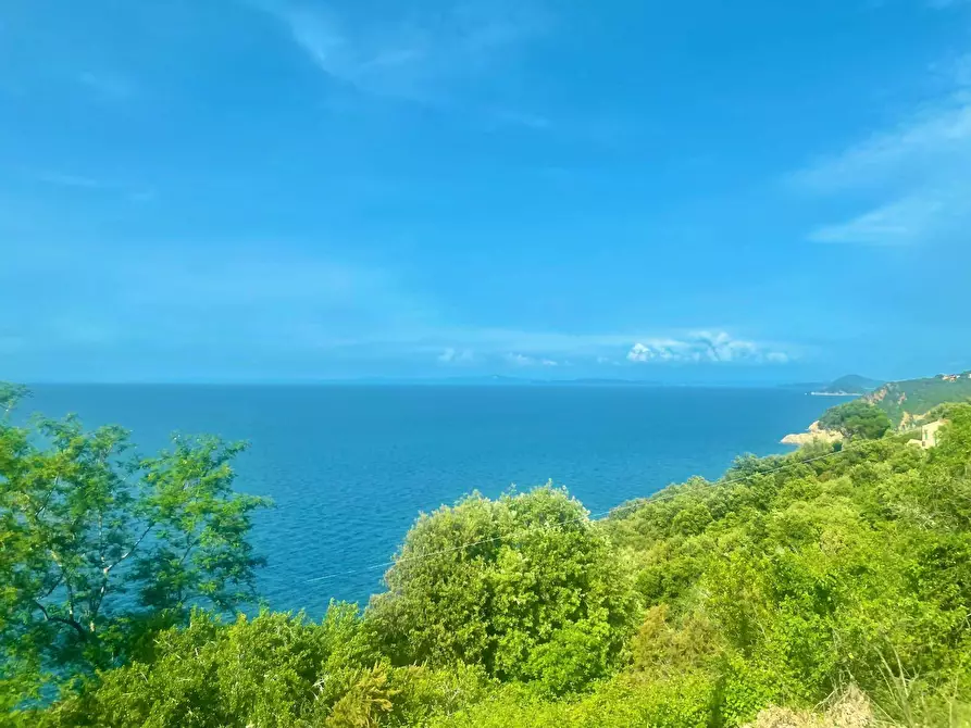 Immagine 32 di Terreno residenziale in vendita  a Marciana