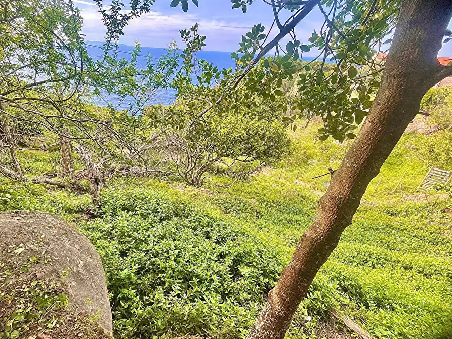 Immagine 33 di Terreno residenziale in vendita  a Marciana