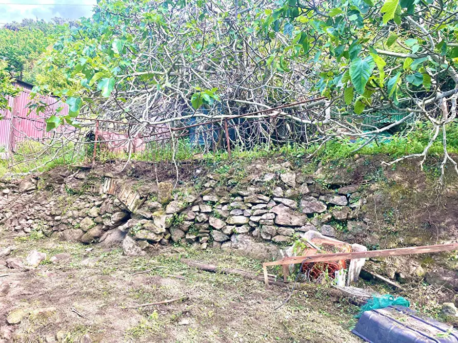Immagine 35 di Terreno residenziale in vendita  a Marciana