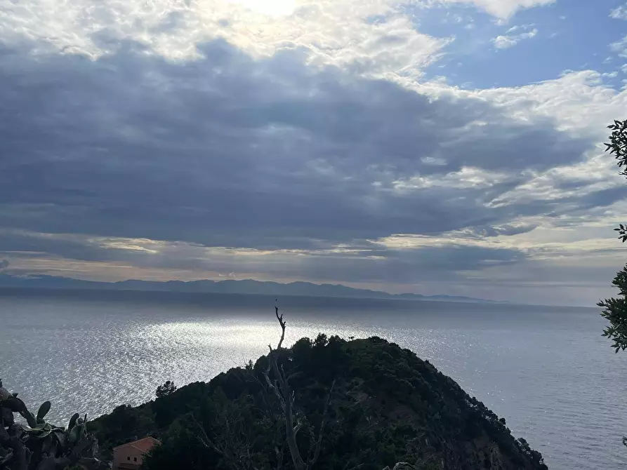 Immagine 36 di Terreno residenziale in vendita  a Marciana