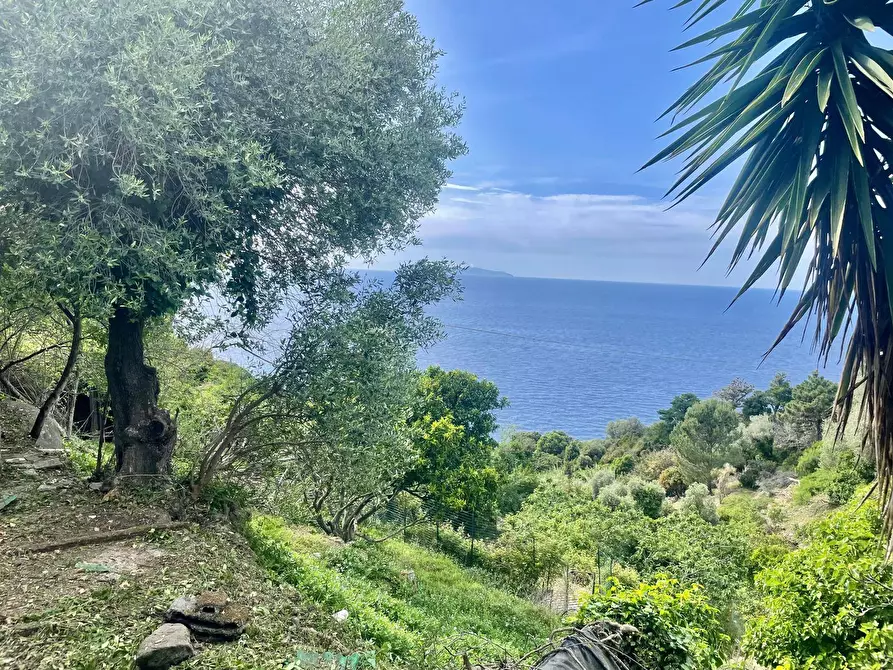 Immagine 37 di Terreno residenziale in vendita  a Marciana