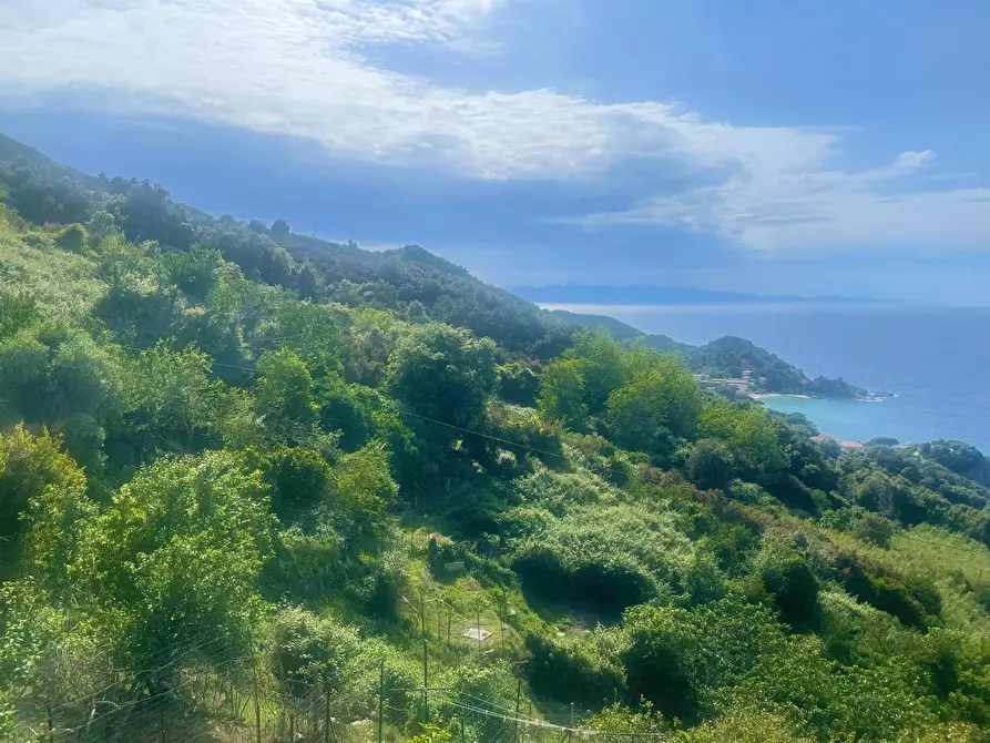 Immagine 38 di Terreno residenziale in vendita  a Marciana