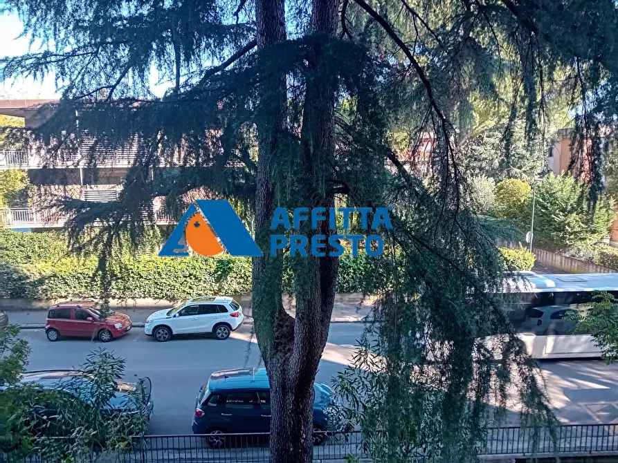 Immagine 17 di Appartamento in affitto  a Firenze