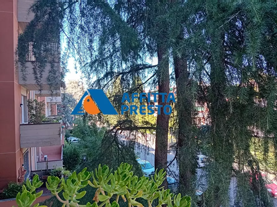Immagine 18 di Appartamento in affitto  a Firenze