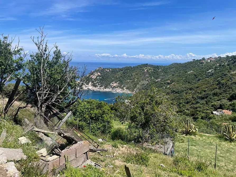 Immagine 1 di Terreno agricolo in vendita  a Marciana