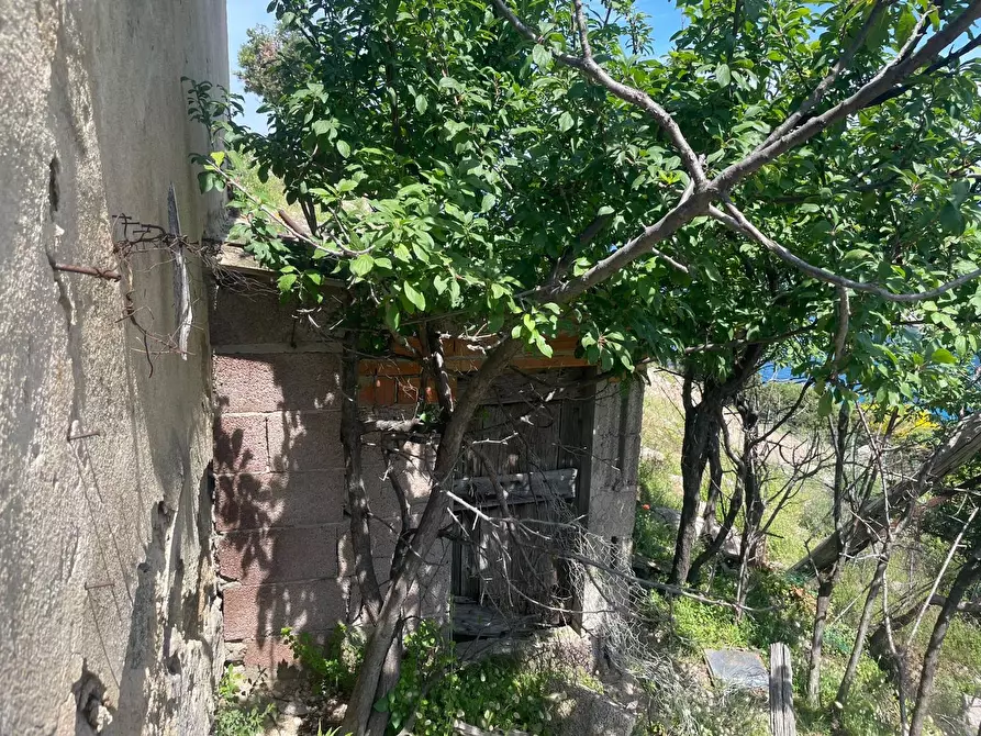 Immagine 3 di Terreno agricolo in vendita  a Marciana