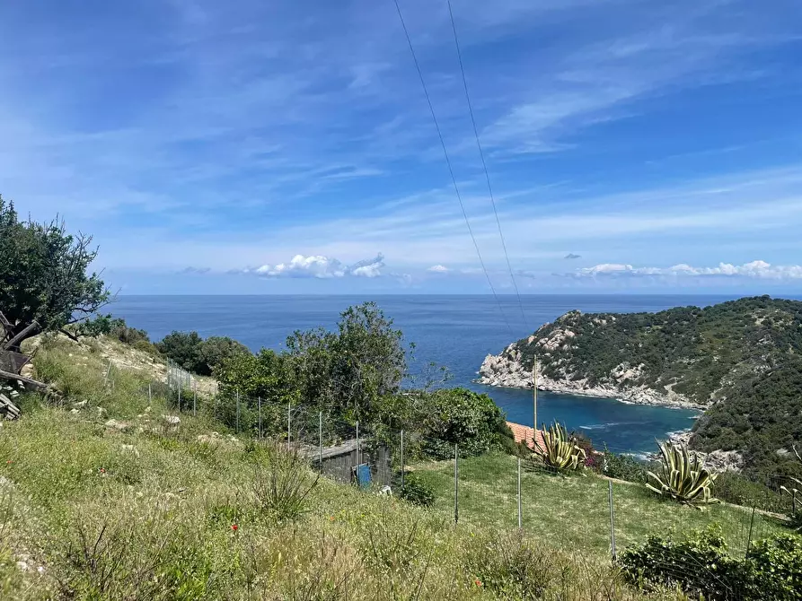 Immagine 4 di Terreno agricolo in vendita  a Marciana