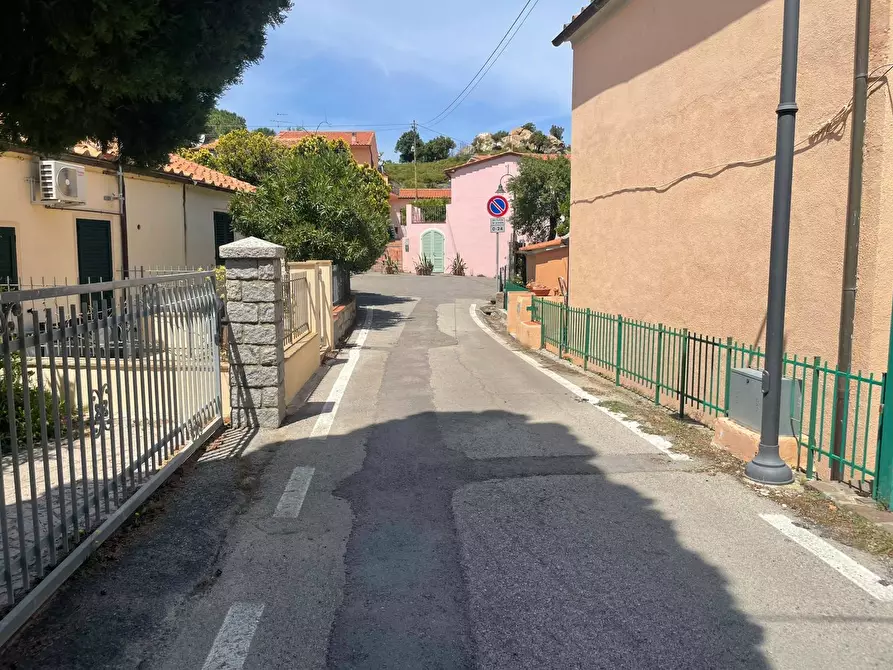 Immagine 5 di Terreno agricolo in vendita  a Marciana