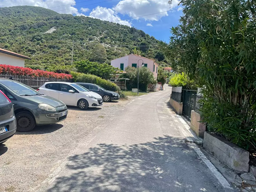 Immagine 6 di Terreno agricolo in vendita  a Marciana