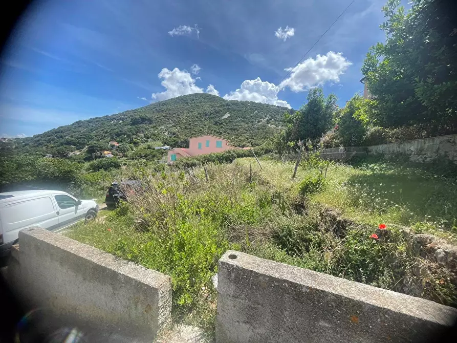 Immagine 7 di Terreno agricolo in vendita  a Marciana