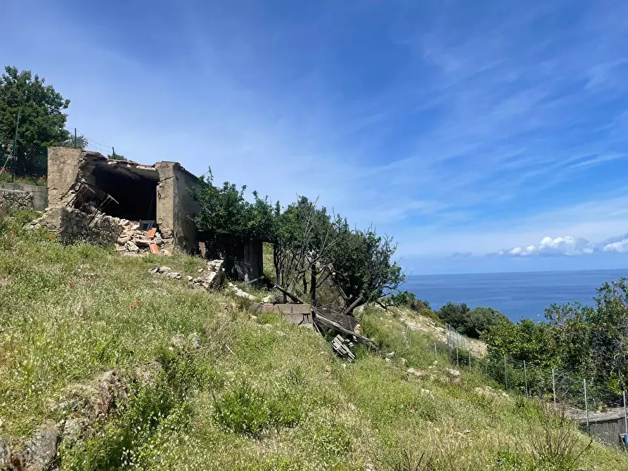 Immagine 8 di Terreno agricolo in vendita  a Marciana
