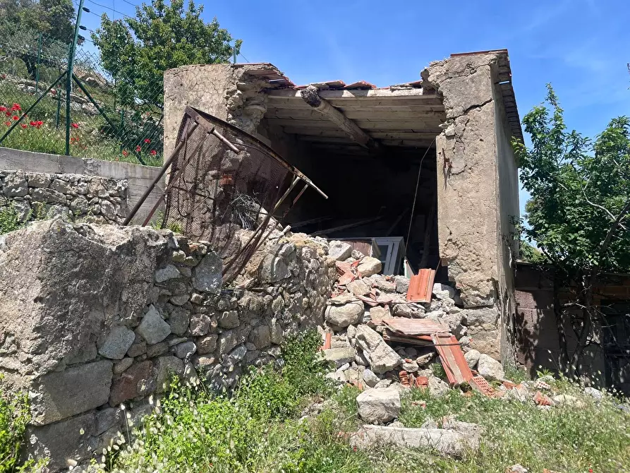 Immagine 9 di Terreno agricolo in vendita  a Marciana