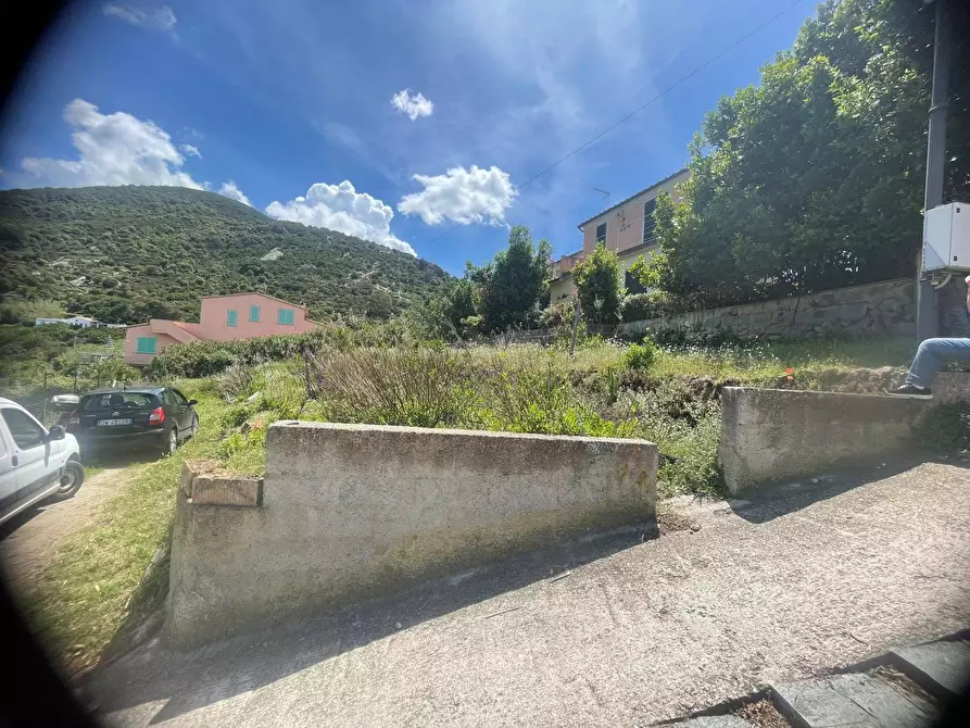 Immagine 10 di Terreno agricolo in vendita  a Marciana