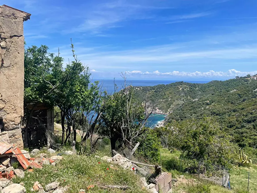 Immagine 11 di Terreno agricolo in vendita  a Marciana
