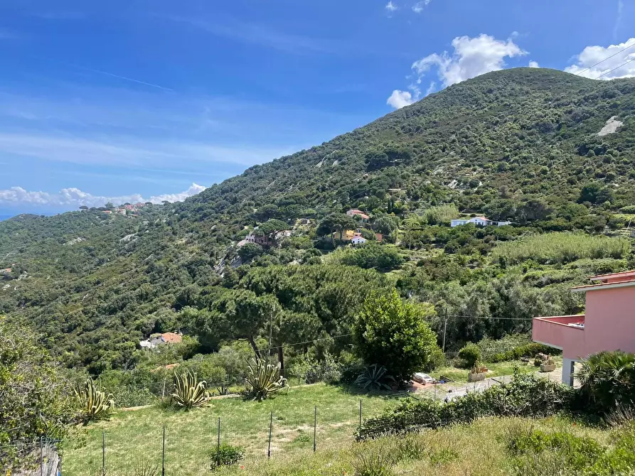 Immagine 15 di Terreno agricolo in vendita  a Marciana