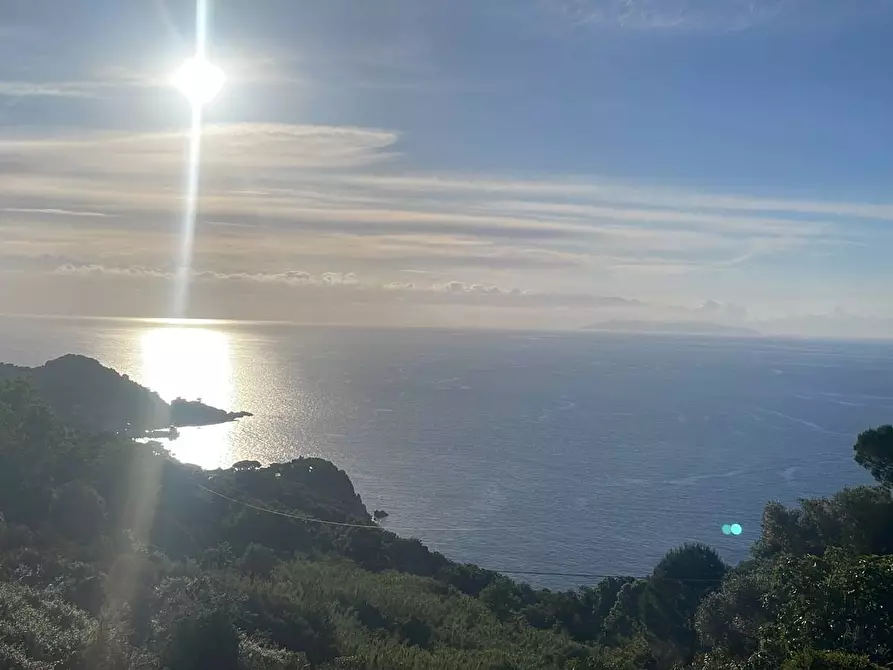 Immagine 16 di Terreno agricolo in vendita  a Marciana