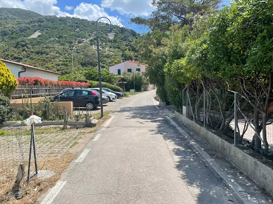 Immagine 17 di Terreno agricolo in vendita  a Marciana