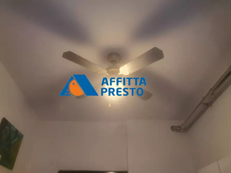 Immagine 11 di Camera in affitto  a Firenze