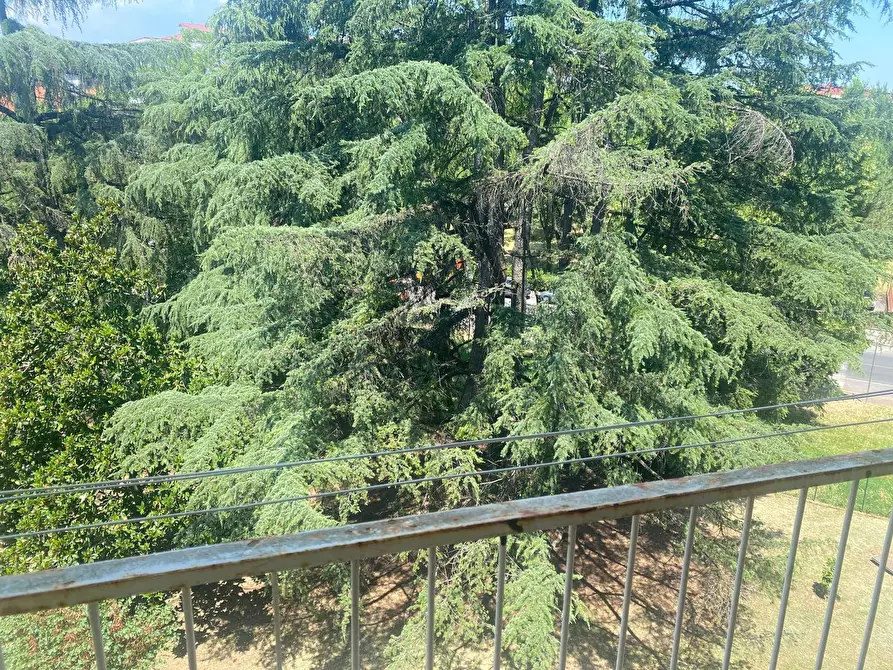 Immagine 3 di Appartamento in vendita  a Firenze