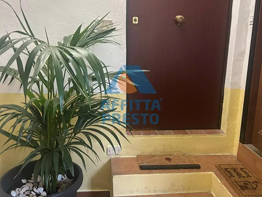 Immagine 3 di Appartamento in affitto  a Empoli
