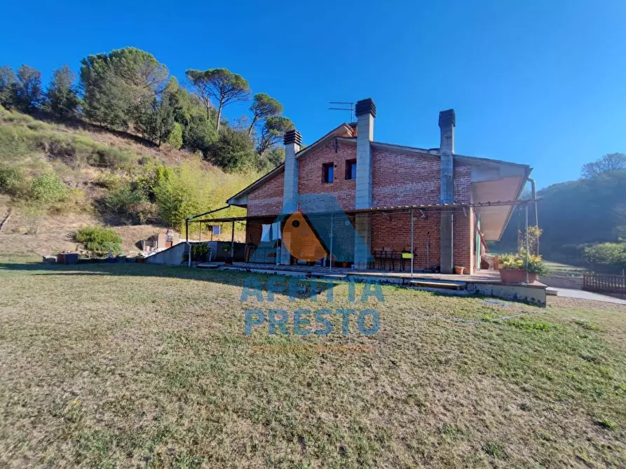 Immagine 2 di Casa indipendente in affitto  a Palaia