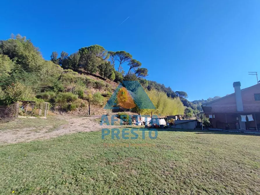 Immagine 3 di Casa indipendente in affitto  a Palaia
