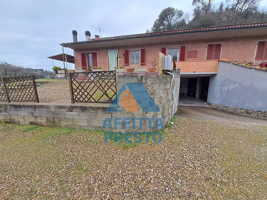 Immagine 5 di Casa indipendente in affitto  a Palaia