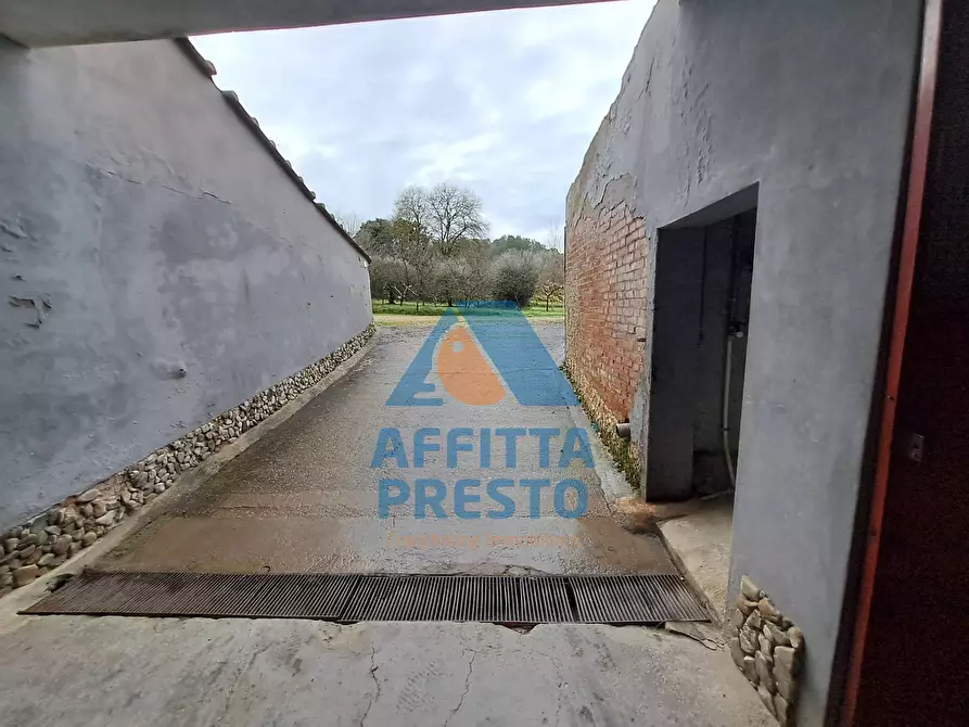 Immagine 6 di Casa indipendente in affitto  a Palaia