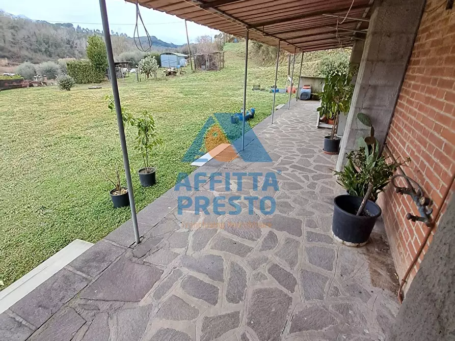 Immagine 12 di Casa indipendente in affitto  a Palaia