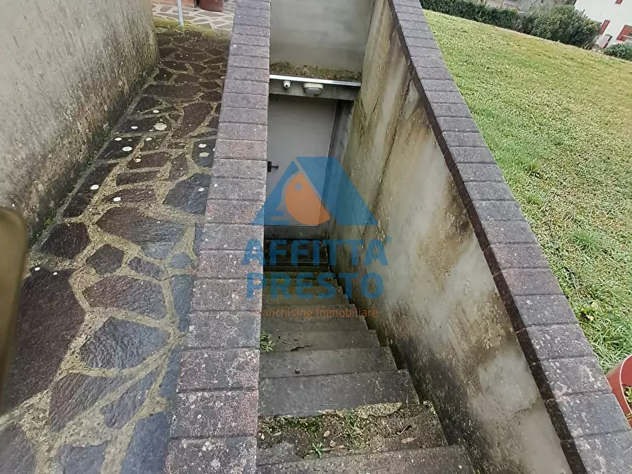 Immagine 13 di Casa indipendente in affitto  a Palaia