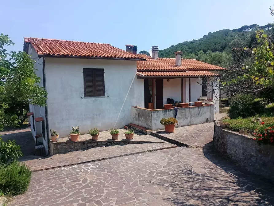 Immagine 4 di Casa semindipendente in vendita  a Marciana Marina
