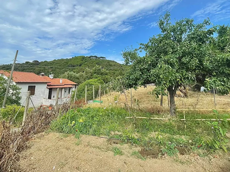 Immagine 7 di Casa semindipendente in vendita  a Marciana Marina