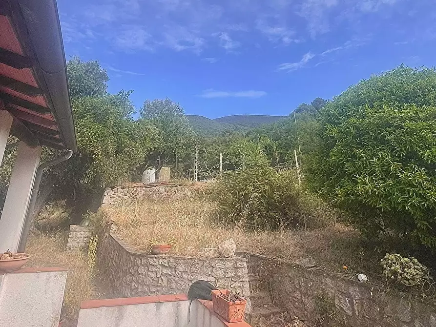 Immagine 9 di Casa semindipendente in vendita  a Marciana Marina
