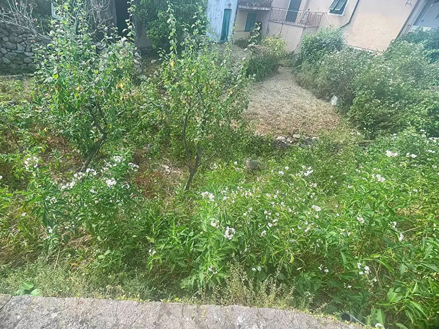 Immagine 10 di Casa semindipendente in vendita  a Marciana Marina