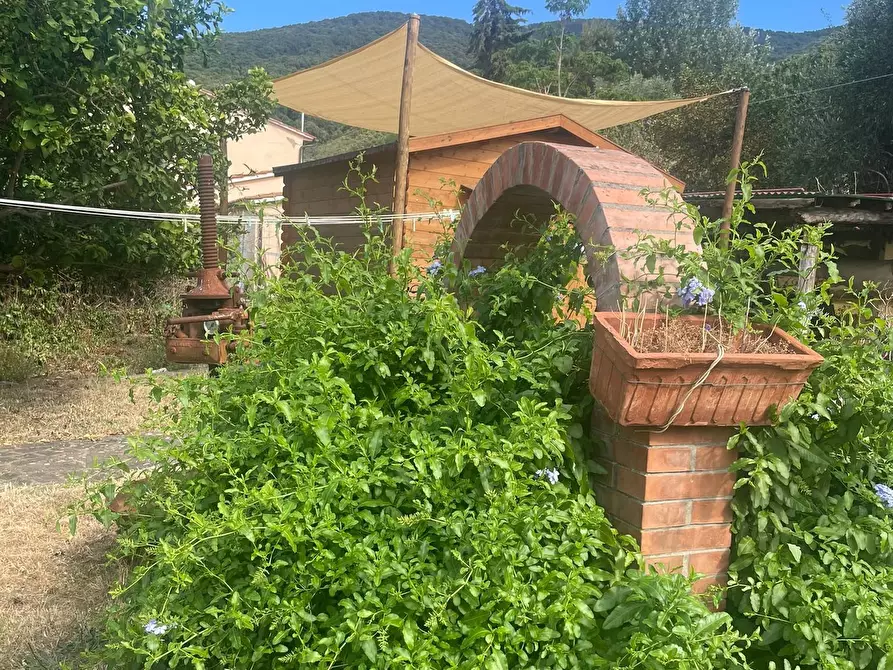Immagine 11 di Casa semindipendente in vendita  a Marciana Marina