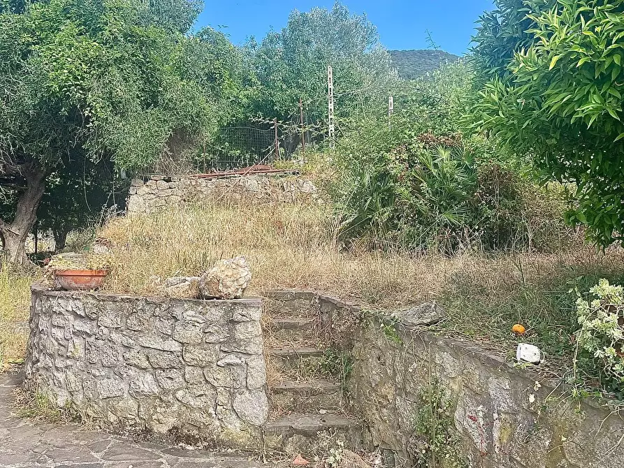 Immagine 13 di Casa semindipendente in vendita  a Marciana Marina