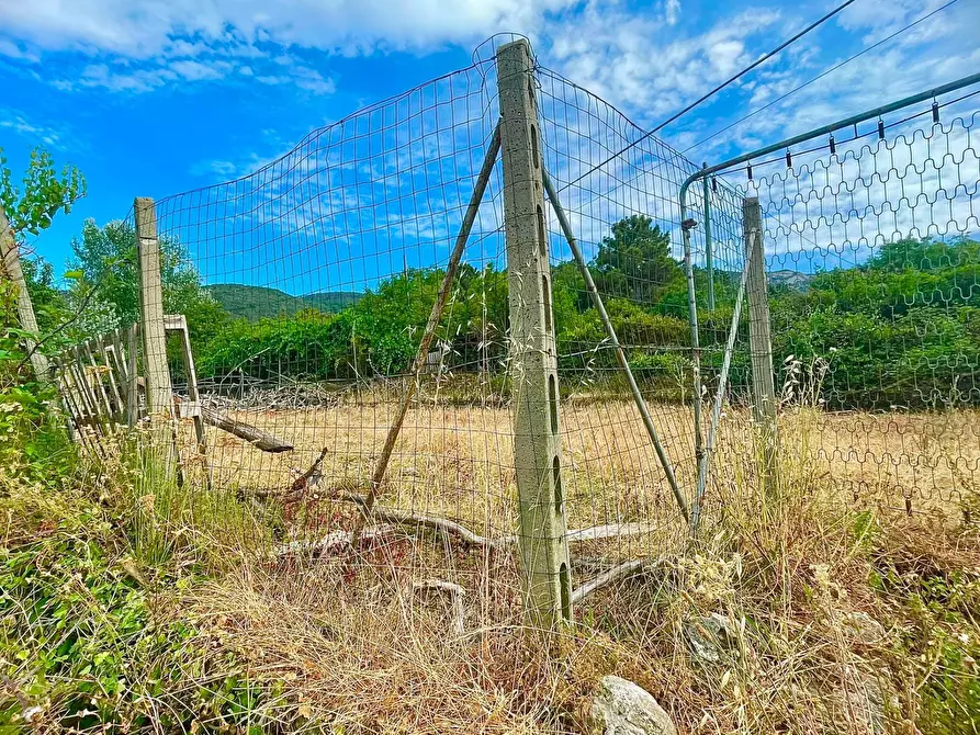 Immagine 15 di Casa semindipendente in vendita  a Marciana Marina