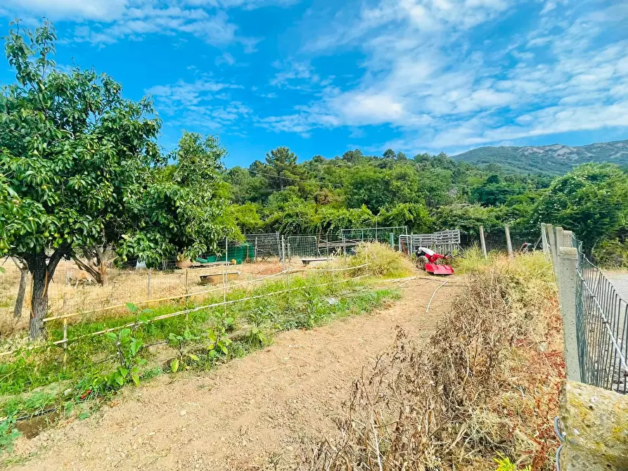 Immagine 16 di Casa semindipendente in vendita  a Marciana Marina