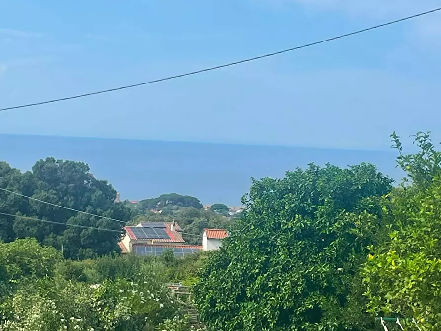 Immagine 19 di Casa semindipendente in vendita  a Marciana Marina