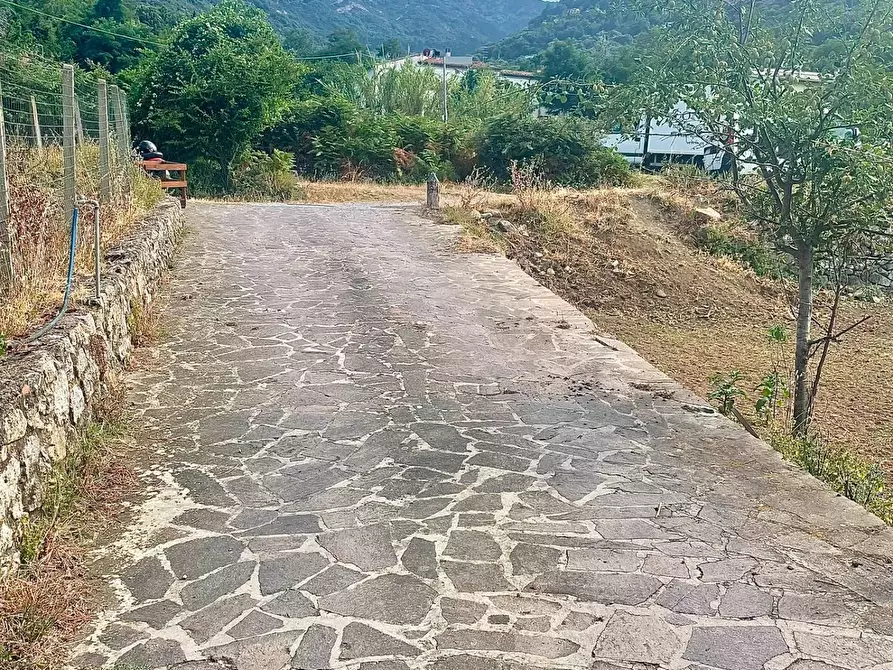 Immagine 21 di Casa semindipendente in vendita  a Marciana Marina