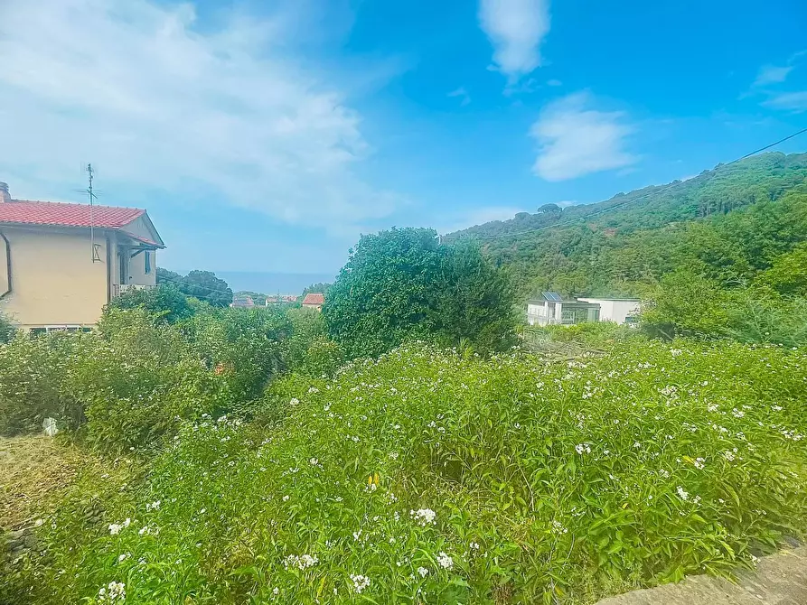 Immagine 23 di Casa semindipendente in vendita  a Marciana Marina