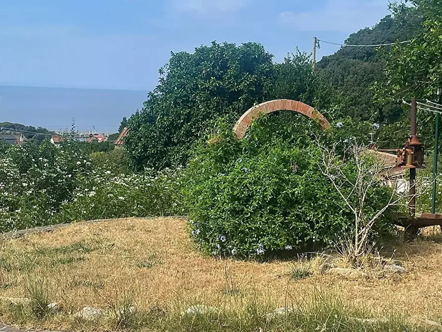 Immagine 25 di Casa semindipendente in vendita  a Marciana Marina