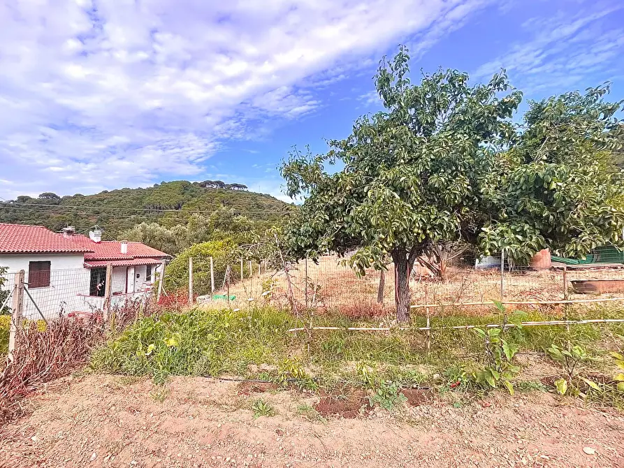 Immagine 26 di Casa semindipendente in vendita  a Marciana Marina