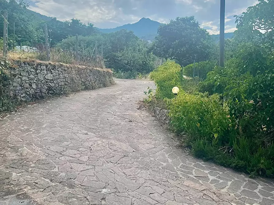 Immagine 27 di Casa semindipendente in vendita  a Marciana Marina