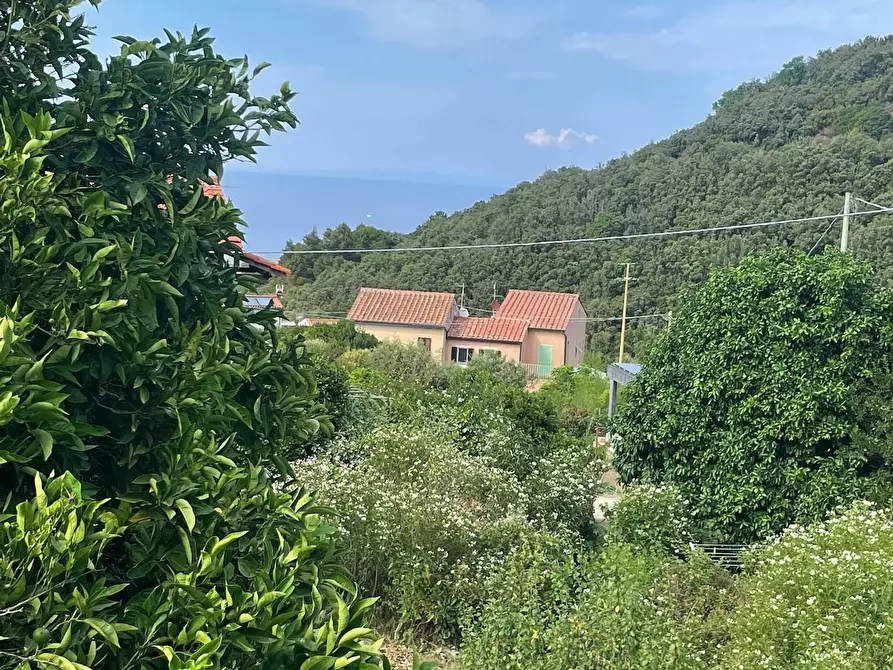 Immagine 28 di Casa semindipendente in vendita  a Marciana Marina