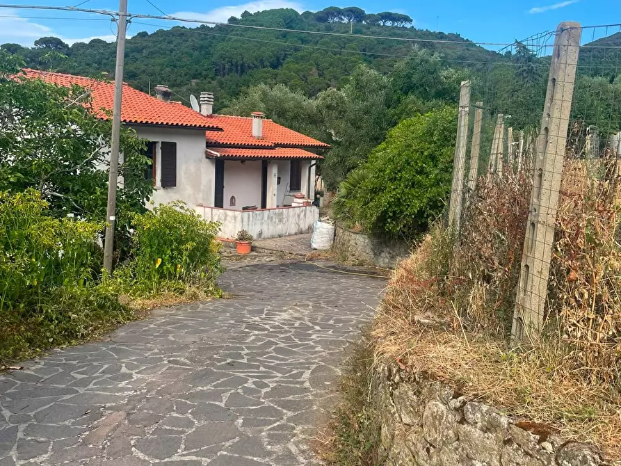 Immagine 29 di Casa semindipendente in vendita  a Marciana Marina
