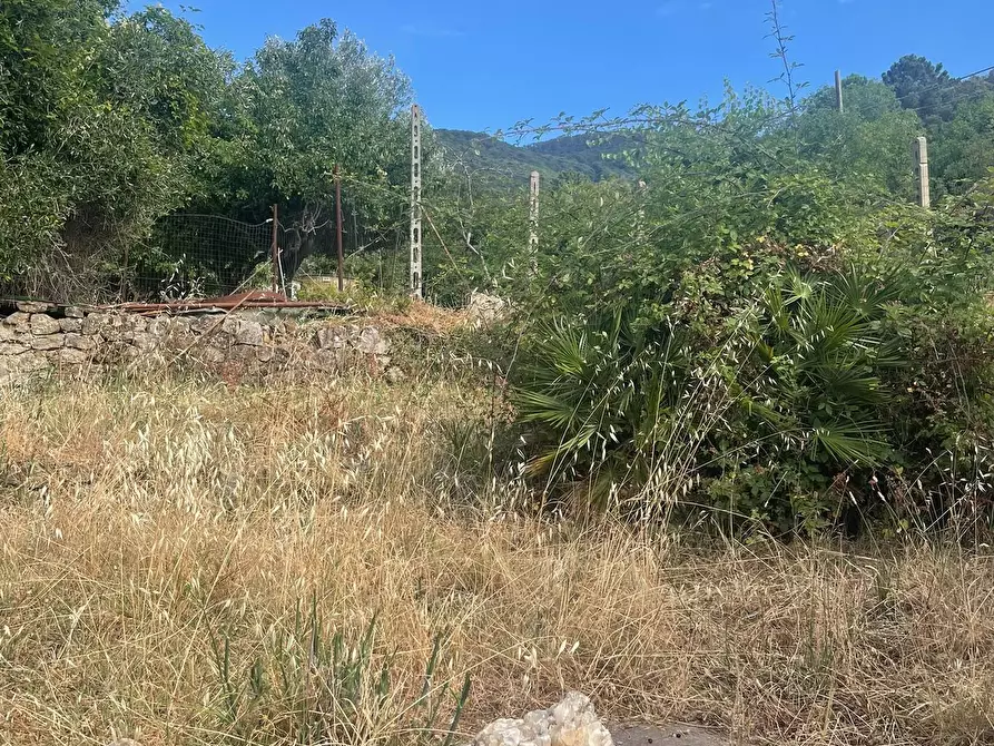 Immagine 30 di Casa semindipendente in vendita  a Marciana Marina